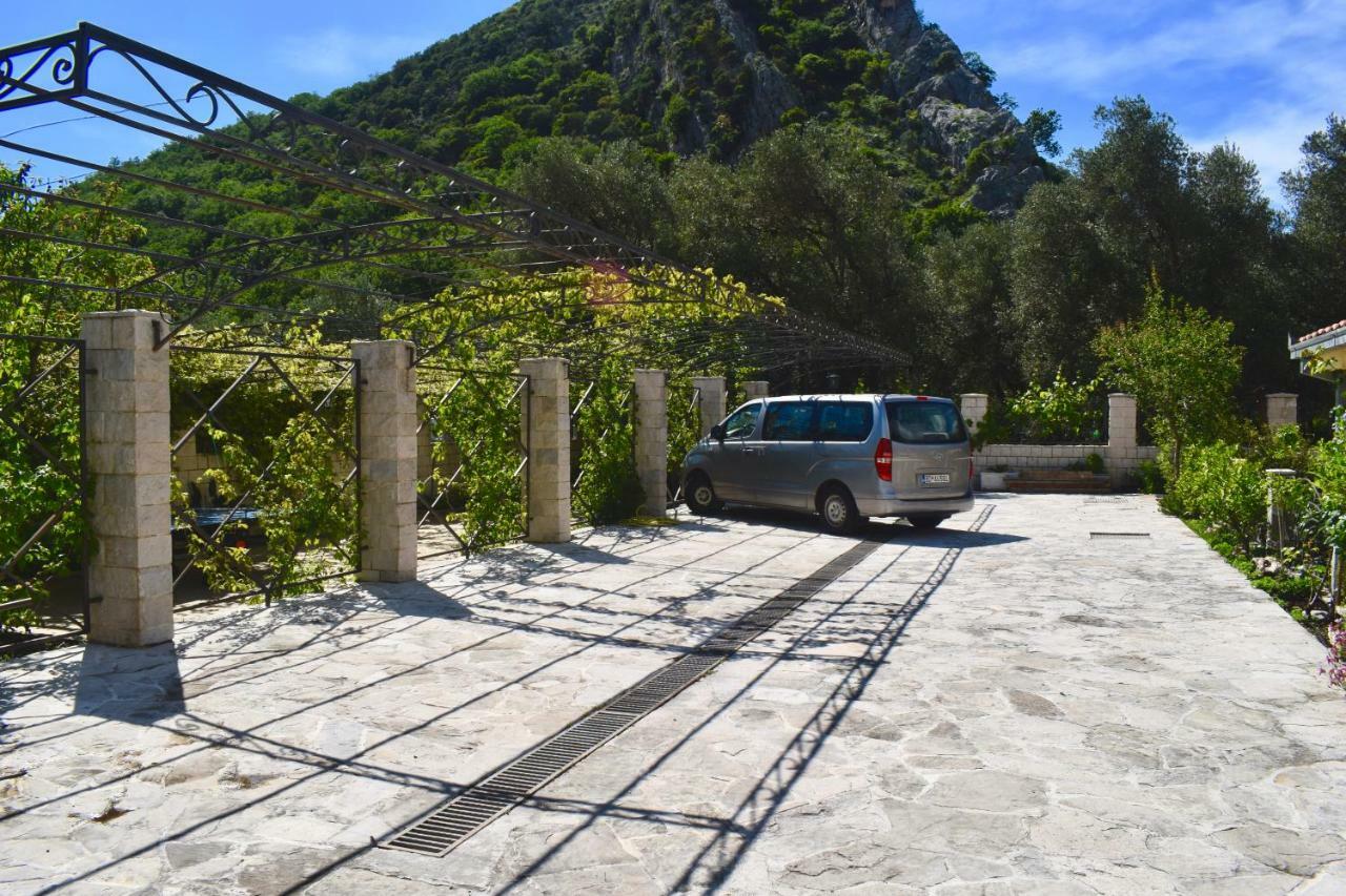 Villa Dolphin Apartments Petrovac Eksteriør bilde